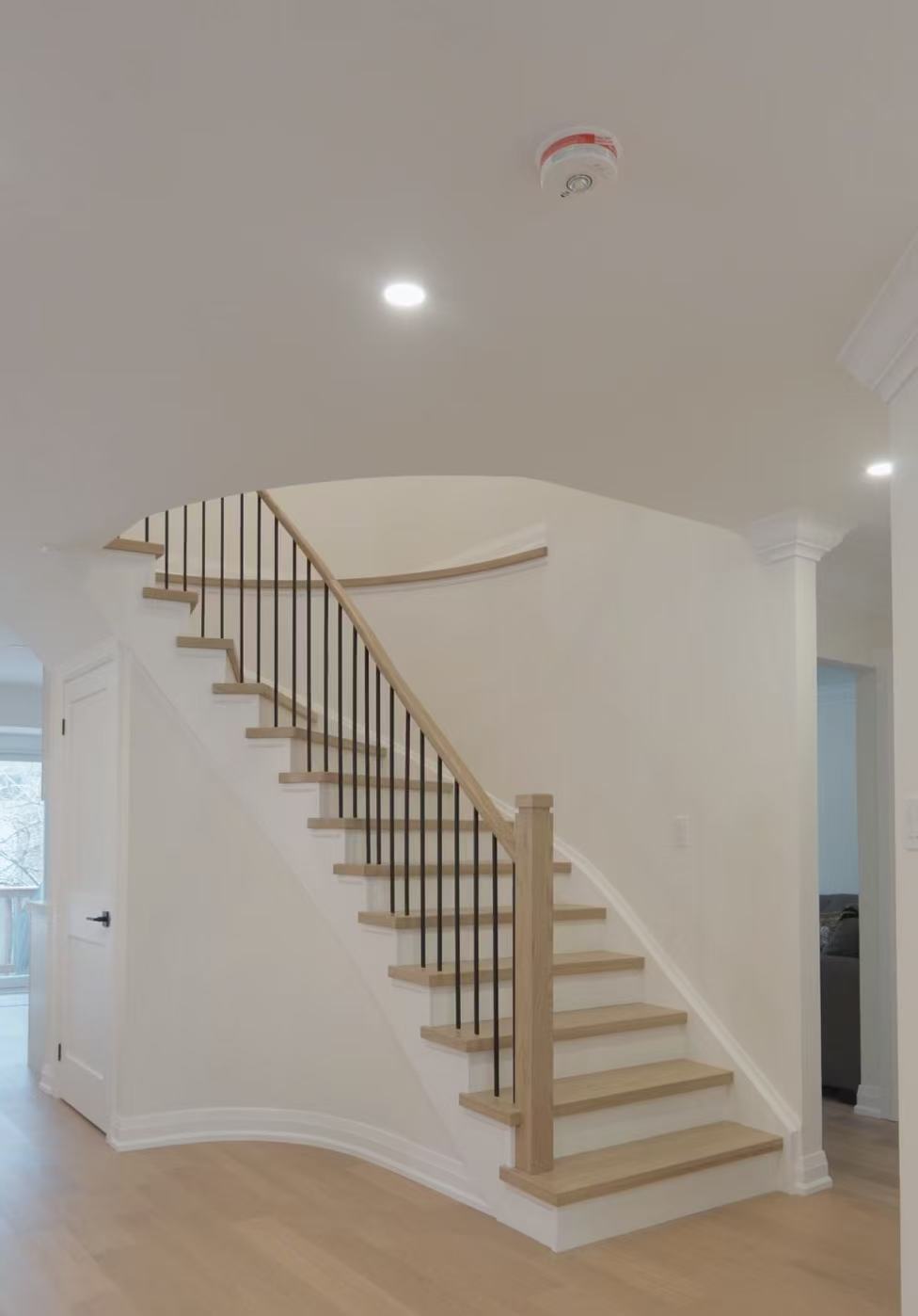 ZN Renovation Project